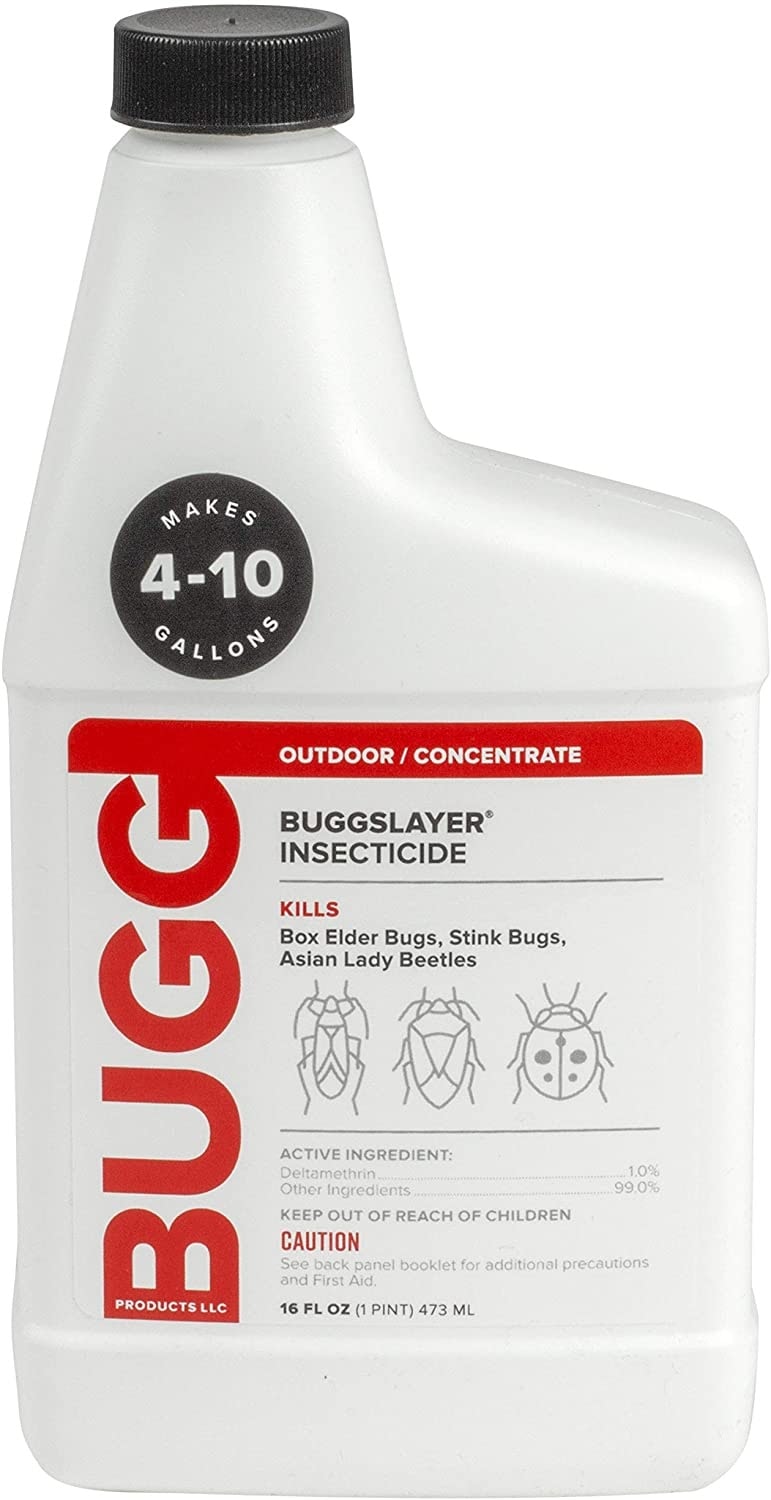 9 Best Bug Killer for Home Pests in 2024