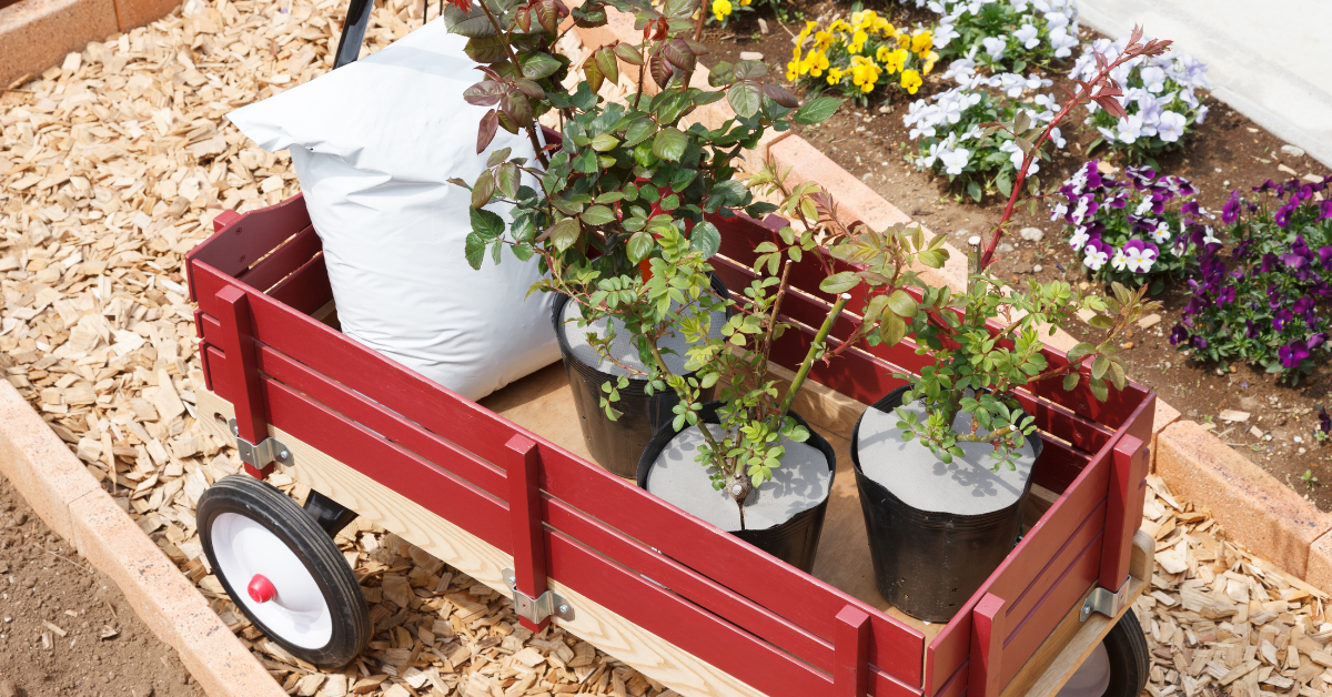Best Garden Carts Guide (Updated for 2024)