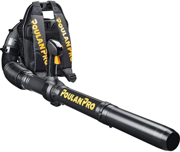 Best Backpack Leaf Blowers Reviews & Buying Guide 2024
