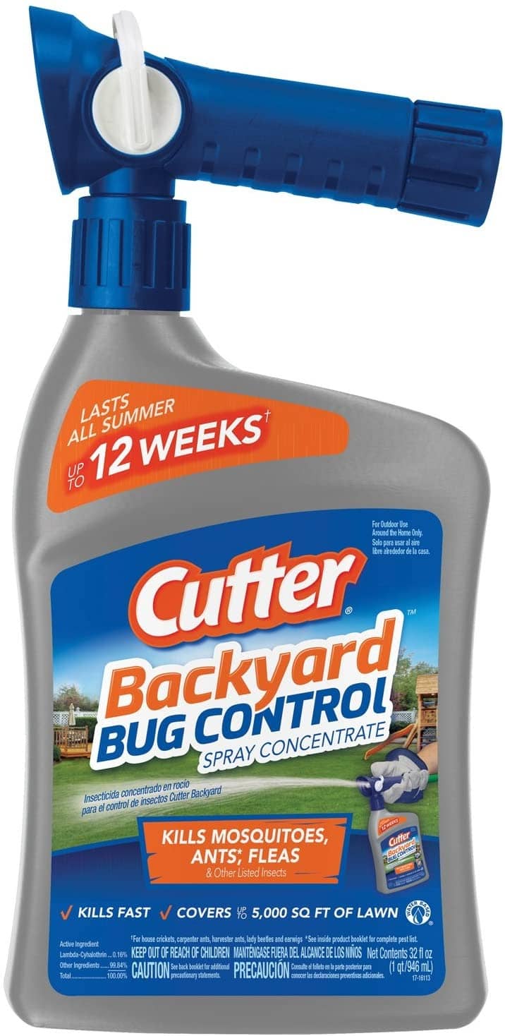 9 Best Bug Killer for Home Pests in 2024