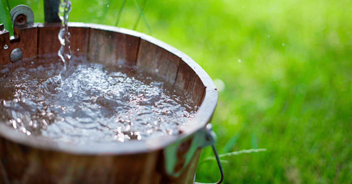 What Causes Rotten Egg Smell in Well Water? 2024 Guide